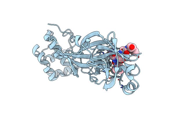 7MGS image