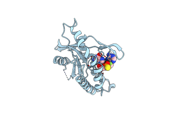7MHC image
