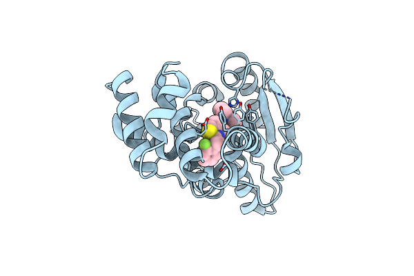 7MHD image