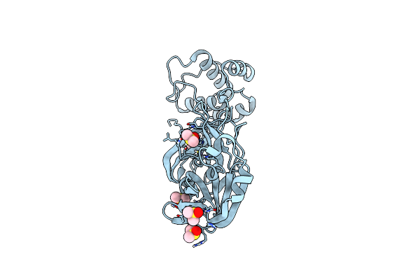 7MHF image