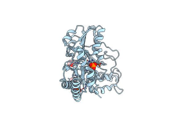 7MHV image