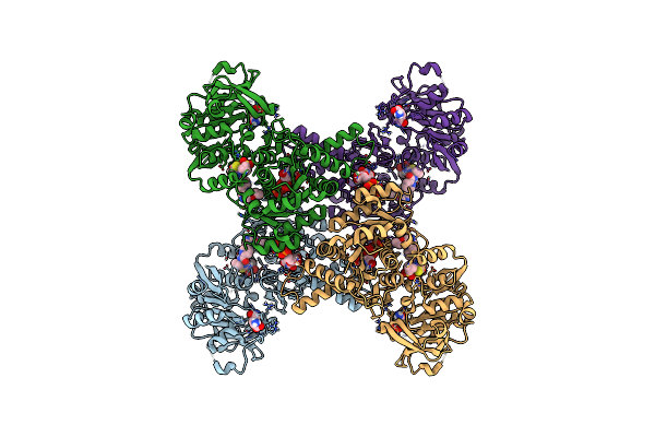 7MIH image