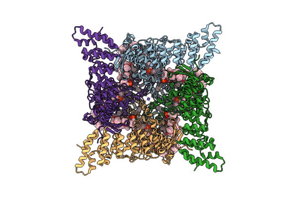 7MIM image