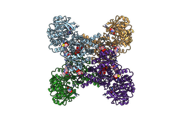 7MIP image