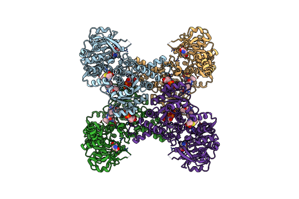 7MIU image