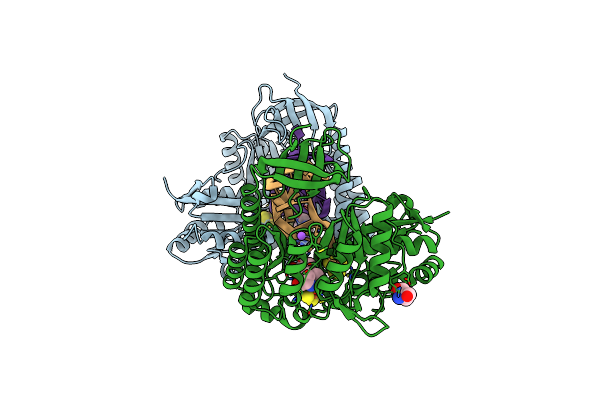 7MJX image