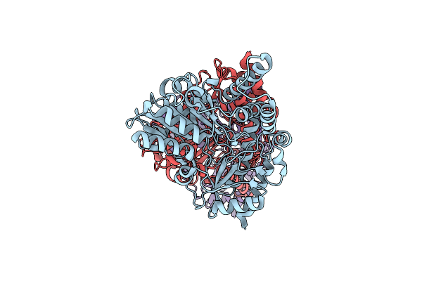 7MKV image