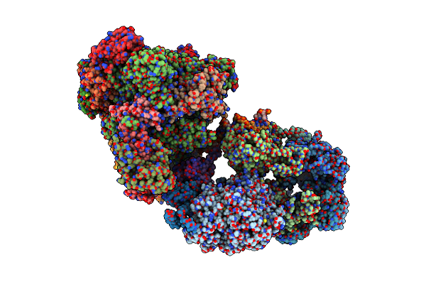 7ML1 image