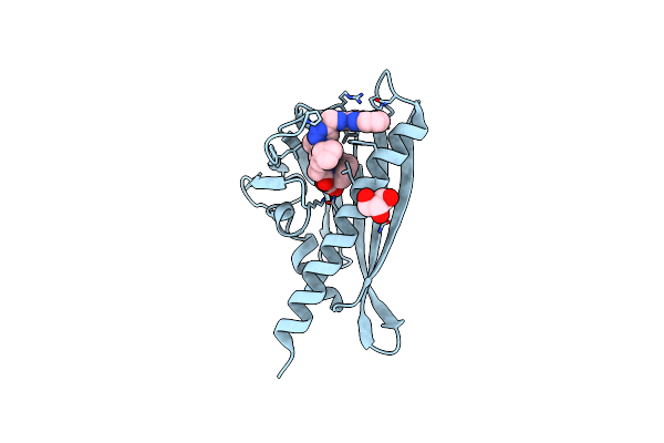 7MLC image
