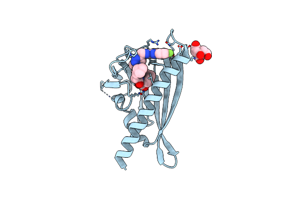 7MLD image