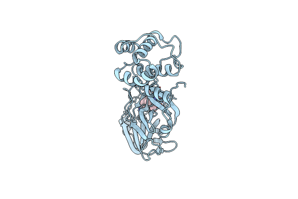 7MLF image