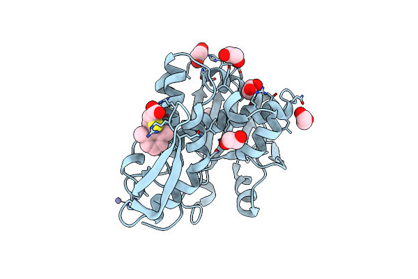 7MLP image