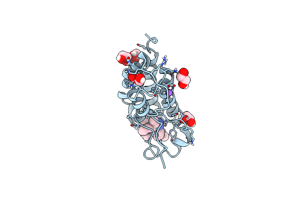 7MLR image