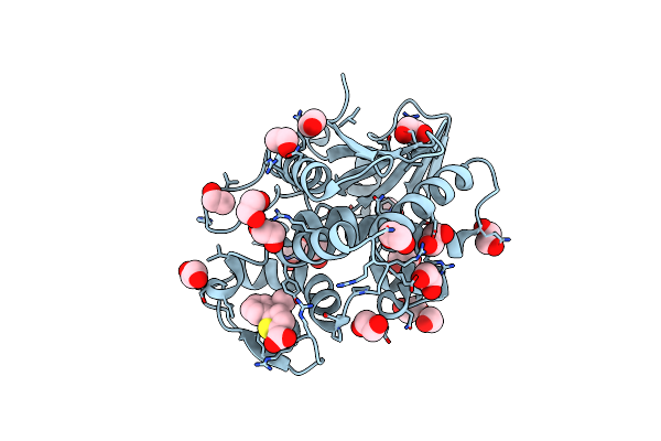 7MLT image