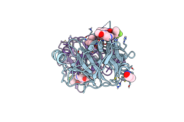7MMG image