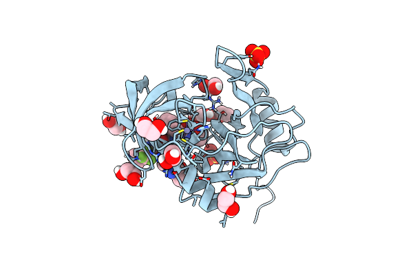 7MMH image