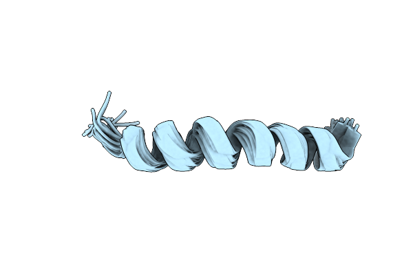 7MMM image