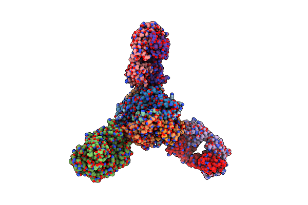7MMN image