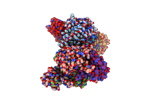 7MMP image
