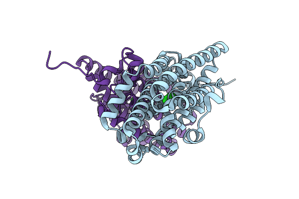 7MMU image
