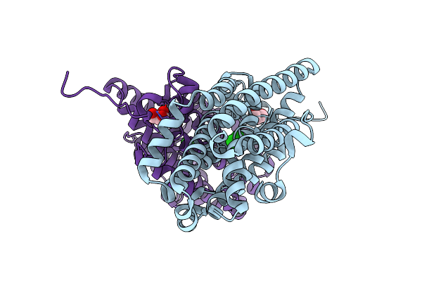 7MMV image