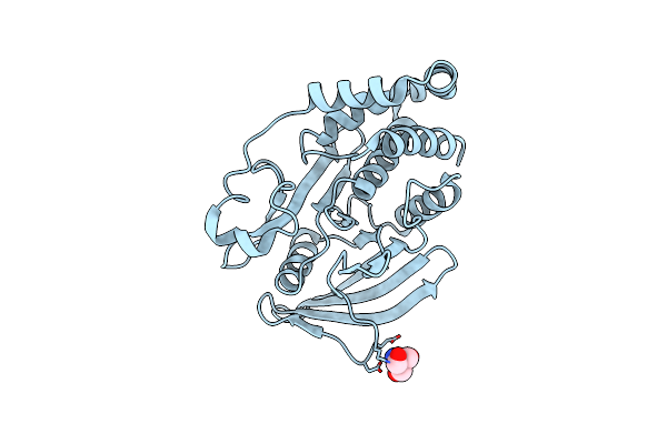 7MNC image