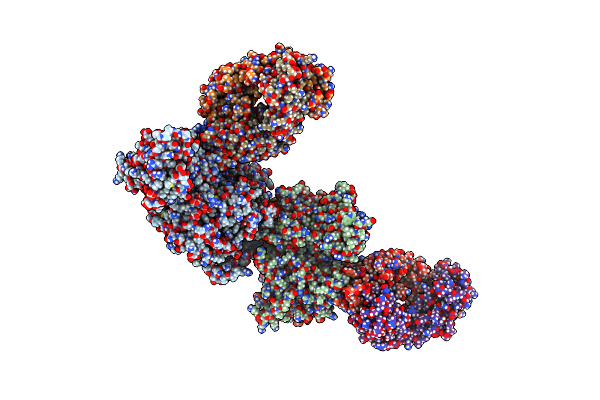 7MNN image