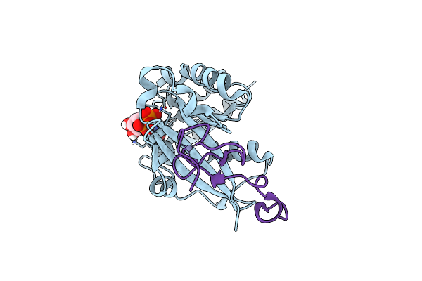 7MNR image