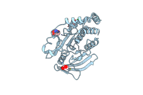 7MOU image