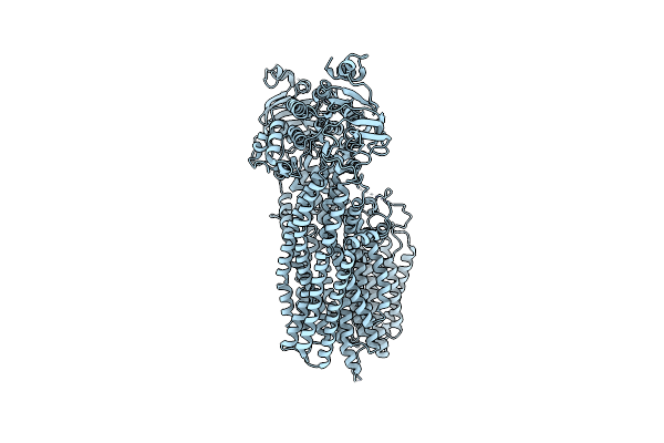 7MPE image