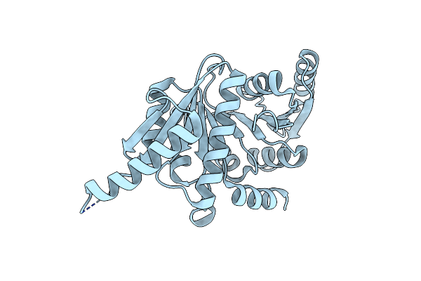 7MQ5 image