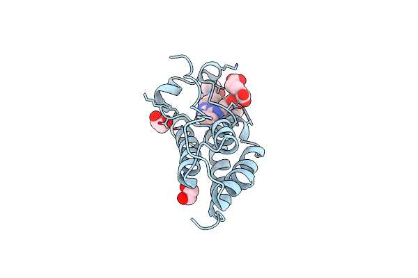 7MR8 image