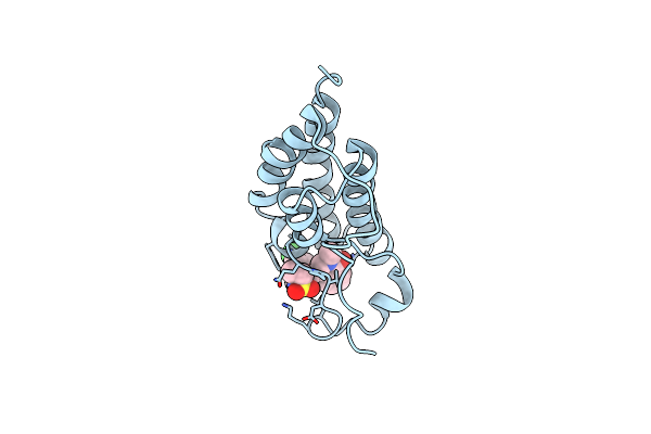 7MRB image