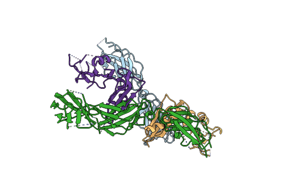 7MRN image
