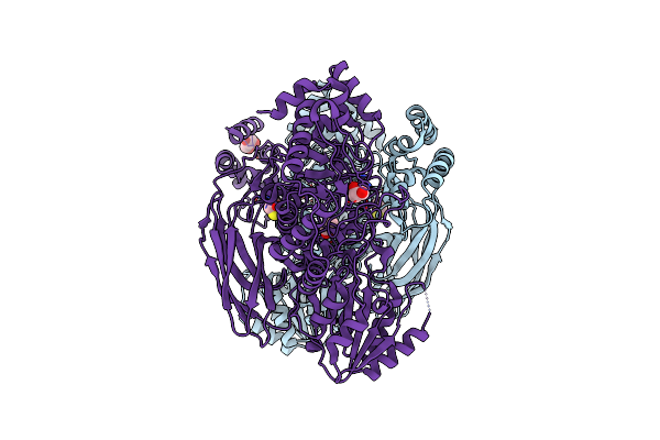 7MS2 image