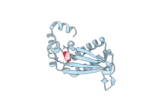 7MS3 image