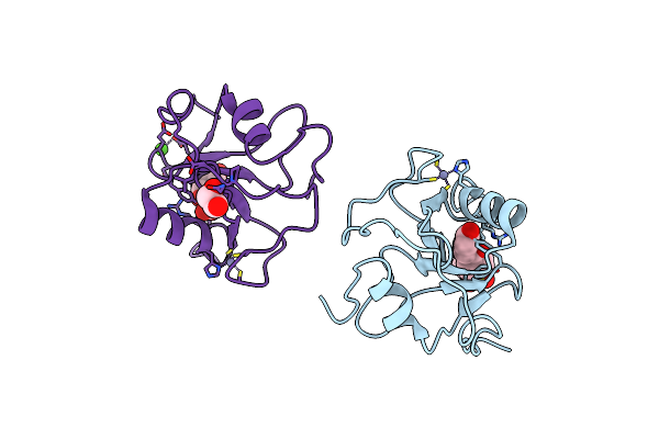 7MS5 image