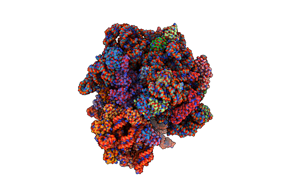 7MSC image