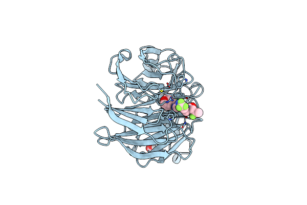7MSD image