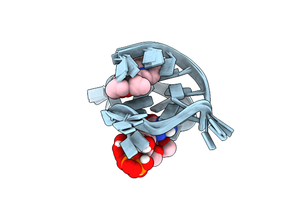 7MSV image