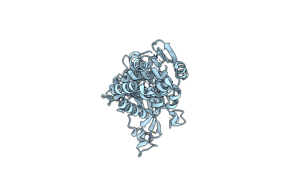 7MSX image