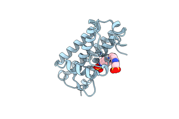 7MTT image