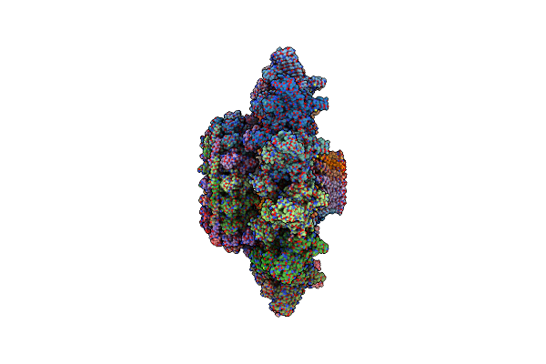 7MUV image
