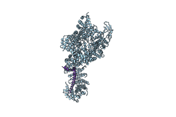 7MVX image