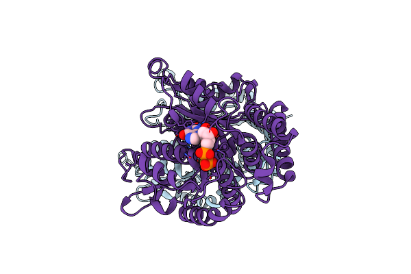 7MWG image