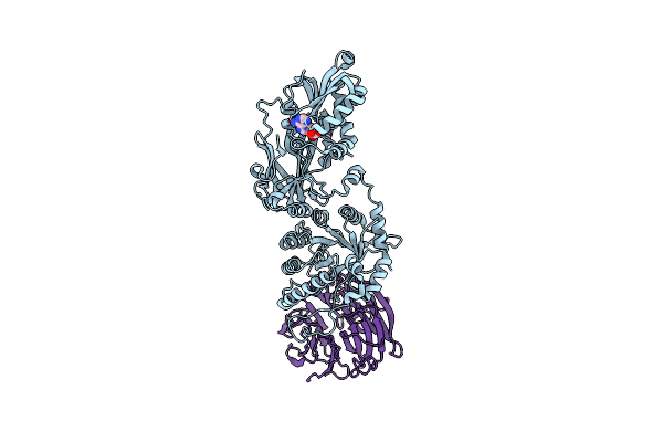 7MXC image