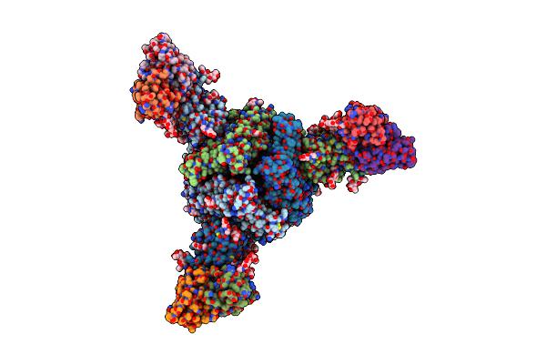 7MXP image