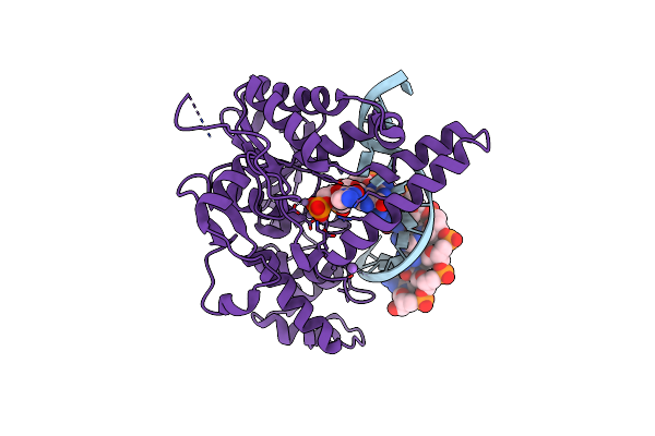 7MXT image