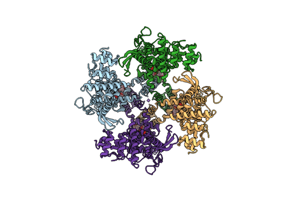 7MZD image