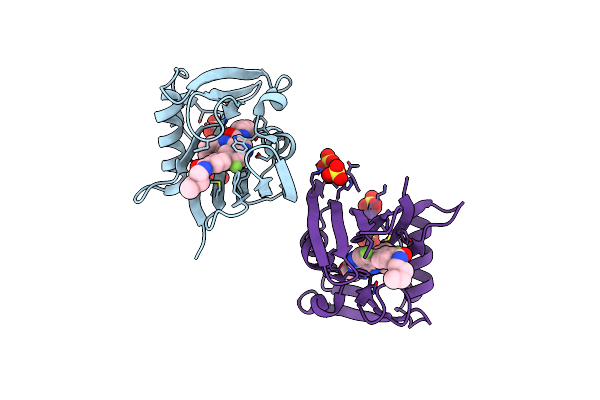 7N13 image